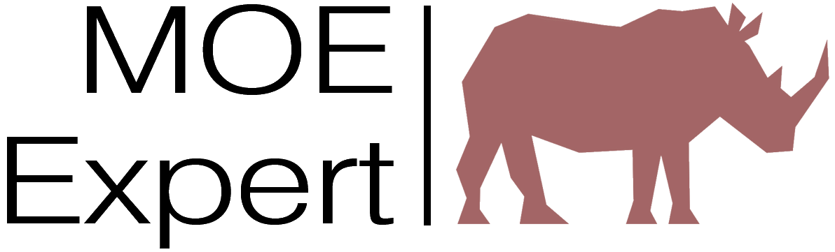 Logo MOE expert